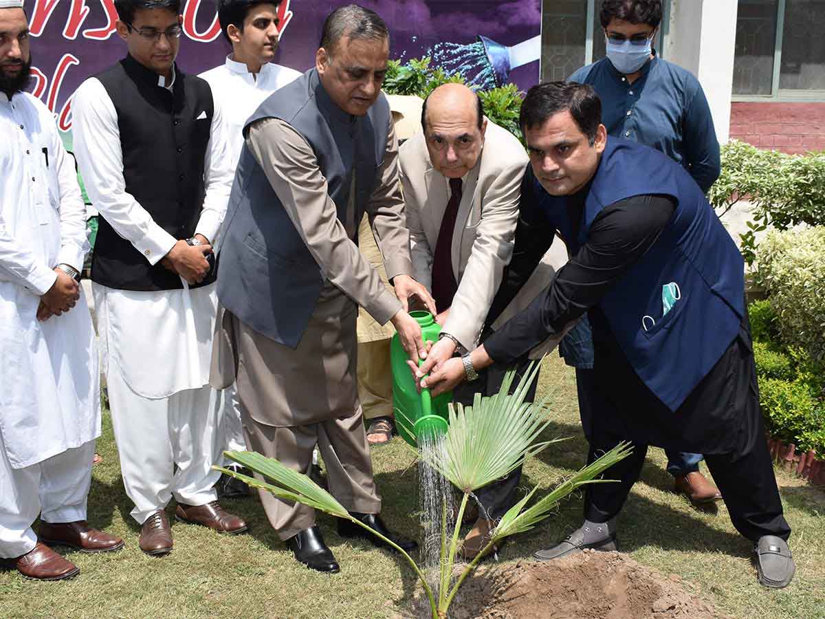 monsoon-tree-plantation