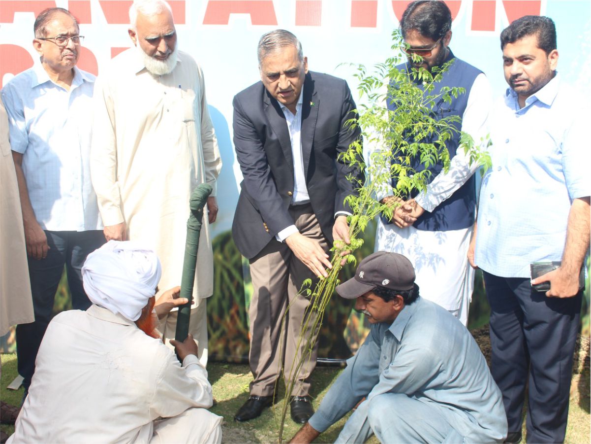 winter-tree-plantation-drive