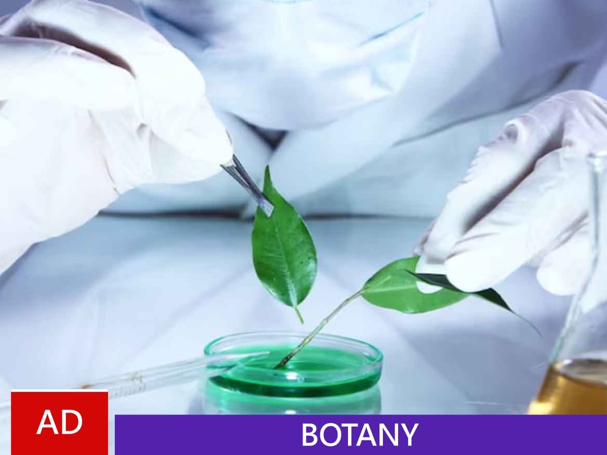 Associate Degree in Botany