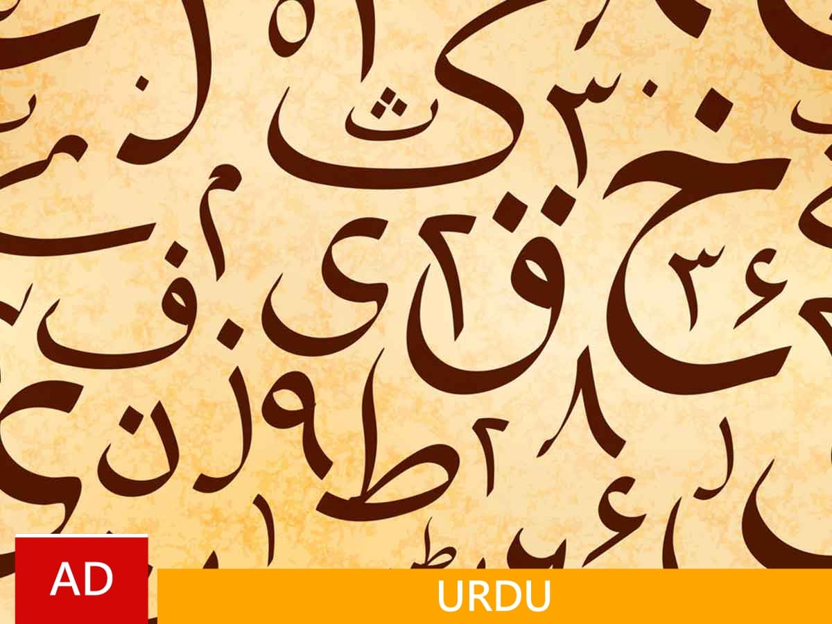 Associate Degree in Urdu