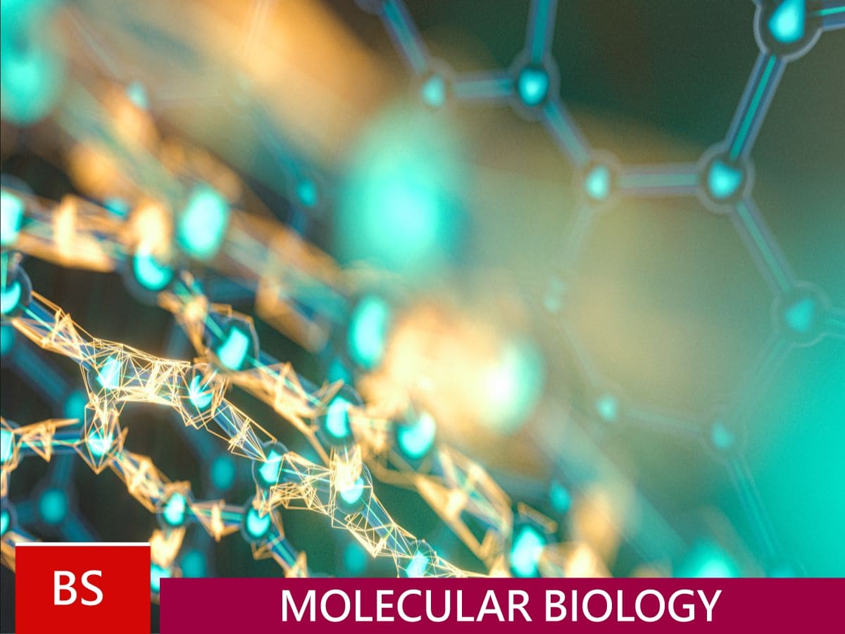 BS Molecular Biology